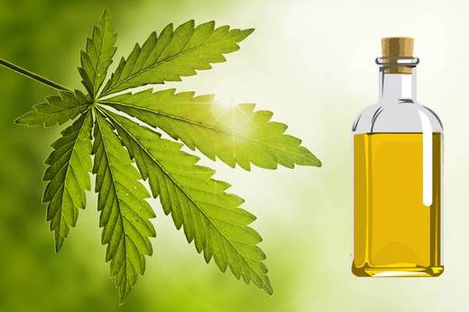 Nimbovy_olej_neem_oil_3.jpg